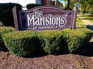 1126 Spring Garden Ct. #NA, Naperville, IL 60563