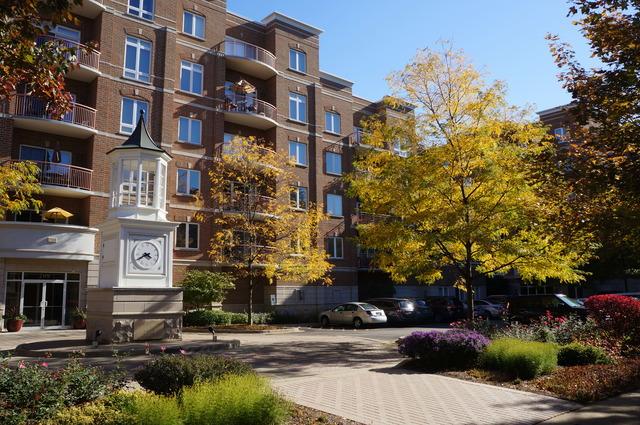 819 Graceland Ave. #207, Des Plaines, IL 60016