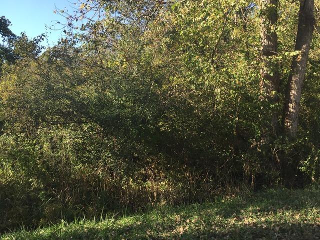 47 Catalina Dr., Putnam, IL 61560