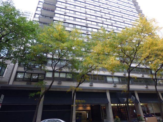 33 E Cedar St. #8A, Chicago, IL 60611