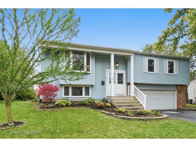 207 E Old Bridge Rd., Palatine, IL 60067