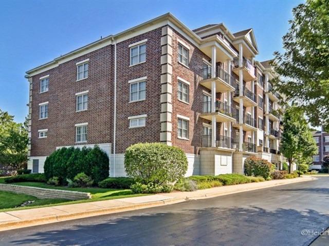 412 Mcdaniels Cir. #201, Clarendon Hills, IL 60514