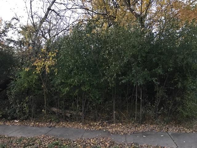 Carol St., Downers Grove, IL 60515