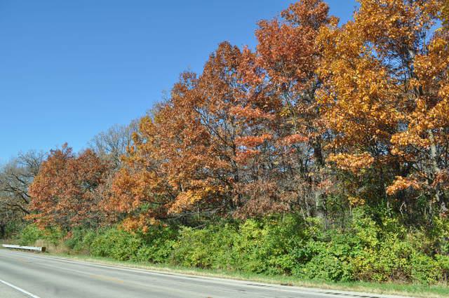 Lot 1&2 Route 173 Hwy., Alden, IL 60033