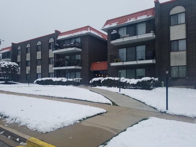1255 W Prospect Ave. #309, Mount Prospect, IL 60056