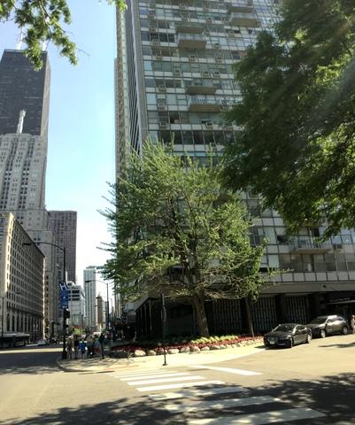 1000 N Lake Shore Dr. #2303, Chicago, IL 60611