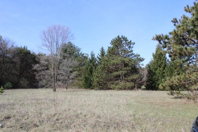 Lot 4 Cedar Ln., Thomson, IL 61285