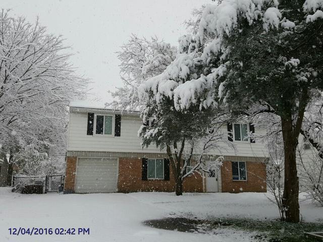 152 S Ashbury Ave., Bolingbrook, IL 60440