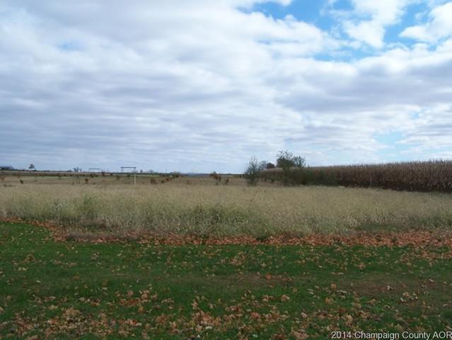 Lot 7 S Church St, Homer, IL 61849