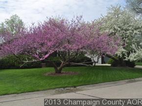 1508 Waverly Dr, Champaign, IL 61821