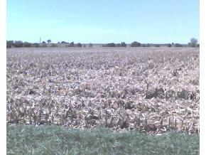 [Address Hidden by Seller], Wellington, IL 60973