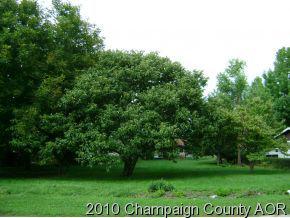[Address Hidden by Seller], Thomasboro, IL 61878