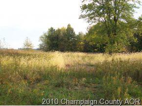 [Address Hidden by Seller], Sadorus, IL 61872
