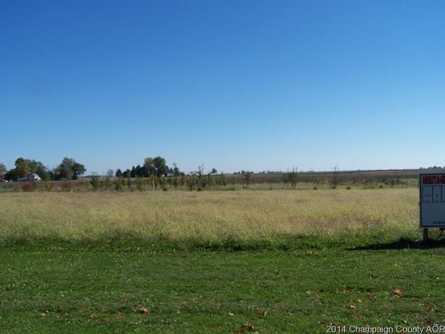 Lot 4 Church St, Homer, IL 61849
