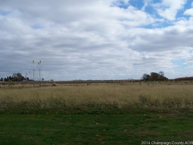 Lot 5 S Church St, Homer, IL 61849