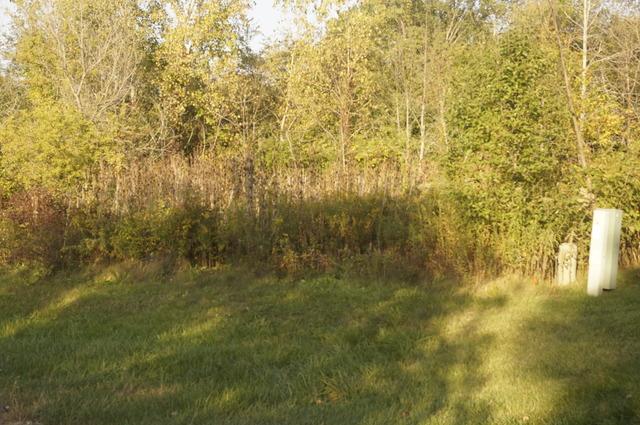 7 Martin Ct., Lemont, IL 60439