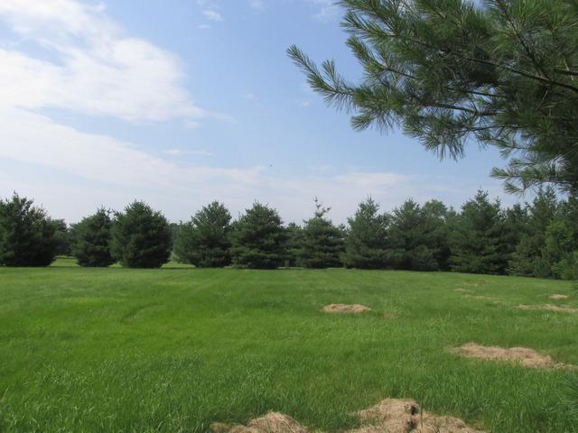006 N Steward Rd., Steward, IL 60553
