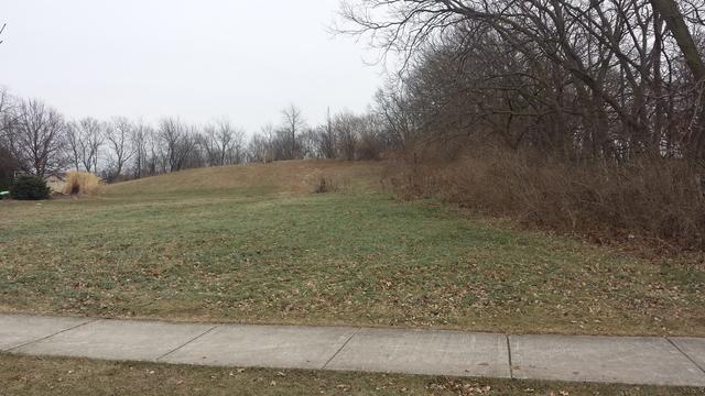 24061 Navajo Dr., Channahon, IL 60410