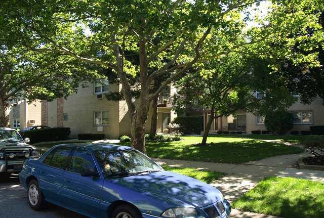 5219 N Potawatomie Ave. #302, Chicago, IL 60656