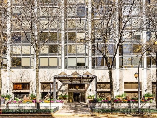 50 E Bellevue Pl. #2502, Chicago, IL 60611
