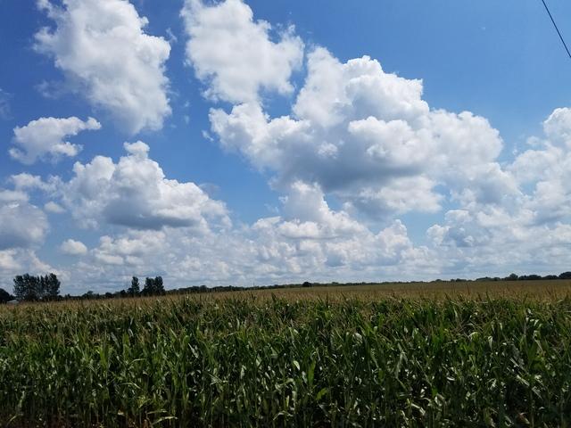 2150 Country Road 1100, Sidney, IL 61877