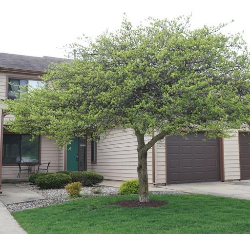 2406 Morrissey Park Dr., Champaign, IL 61821