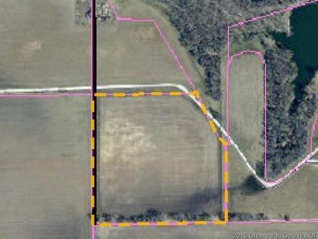 N 130 E Rd., Homer, IL 61849