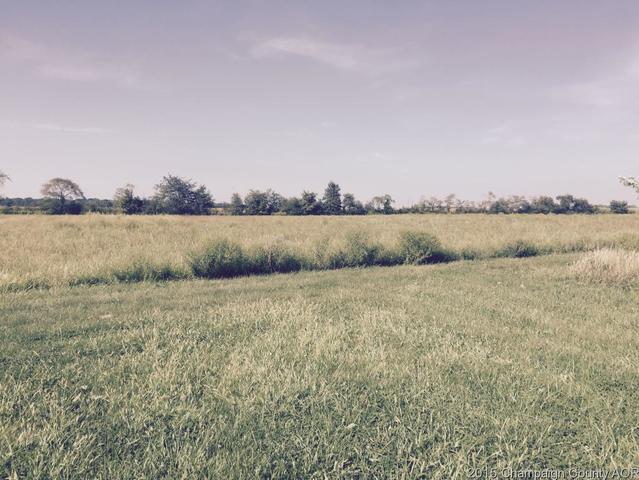 466 Cr 100 N, Sadorus, IL 61872