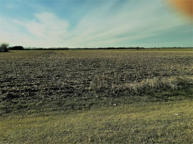 31440 S Yates Ave., Beecher, IL 60401