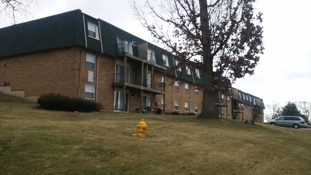 8568 102nd Ter. #203, Palos Hills, IL 60465