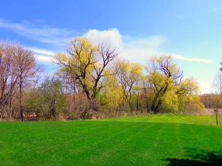 1151 Kasting Ln., Mundelein, IL 60060