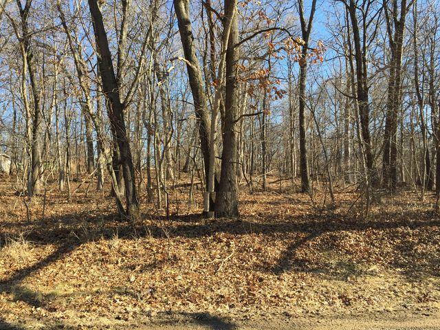 18 Caribbean Dr., Putnam, IL 61560