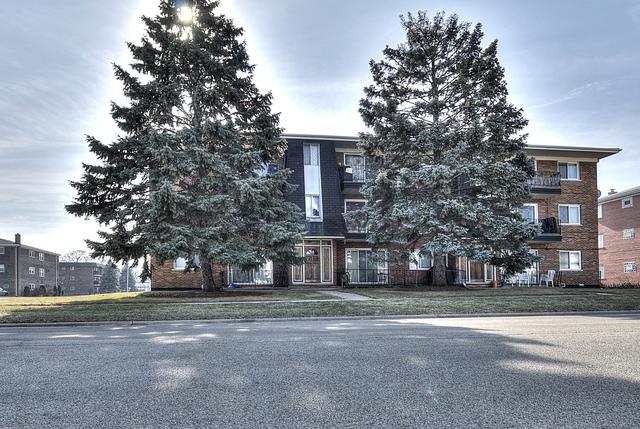 8101 W 83rd Pl. #2C, Justice, IL 60458