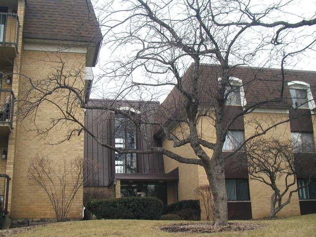 1105 N Mill St. #123, Naperville, IL 60563