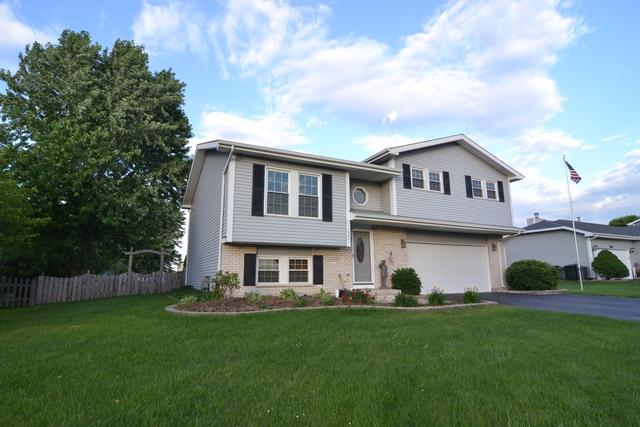 19621 Skye Dr., Frankfort, IL 60423