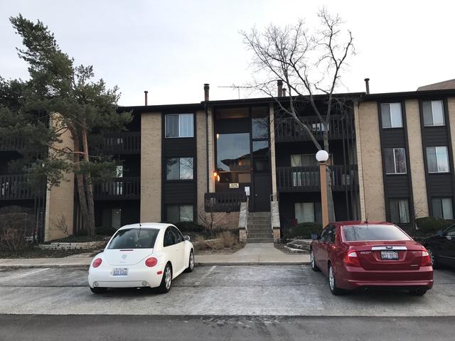 6179 Knoll Wood Rd. #208, Willowbrook, IL 60527