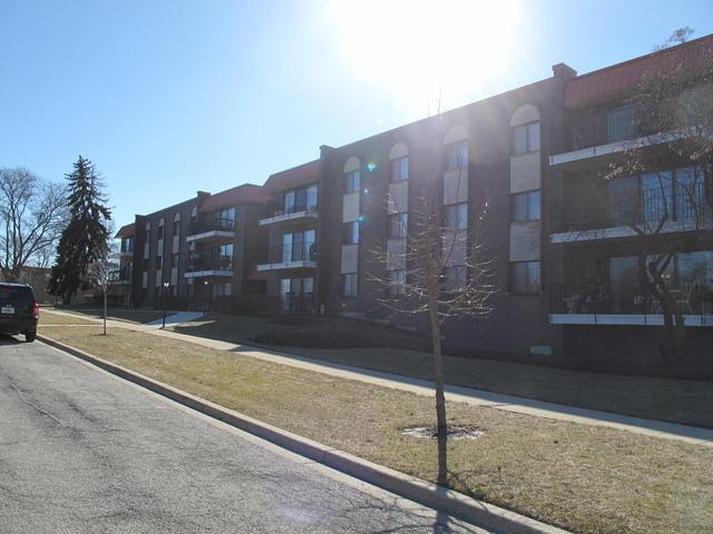 1255 W Prospect Ave. #306, Mount Prospect, IL 60056