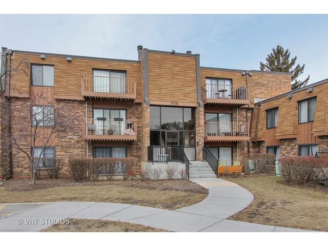 705 Tipperary Ct. #1A, Schaumburg, IL 60193