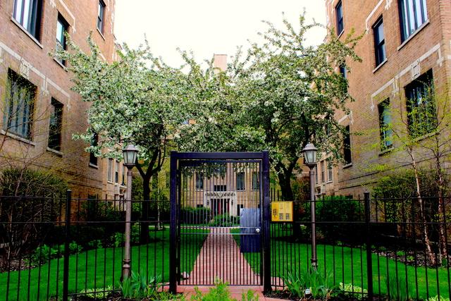 4729 N Paulina St. #3, Chicago, IL 60640