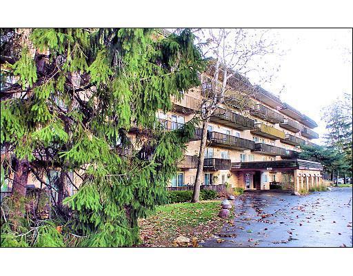 505 Redondo Dr. #509, Downers Grove, IL 60516