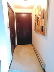 5350 Waterbury Ln. #1606-A, Crestwood, IL 60446