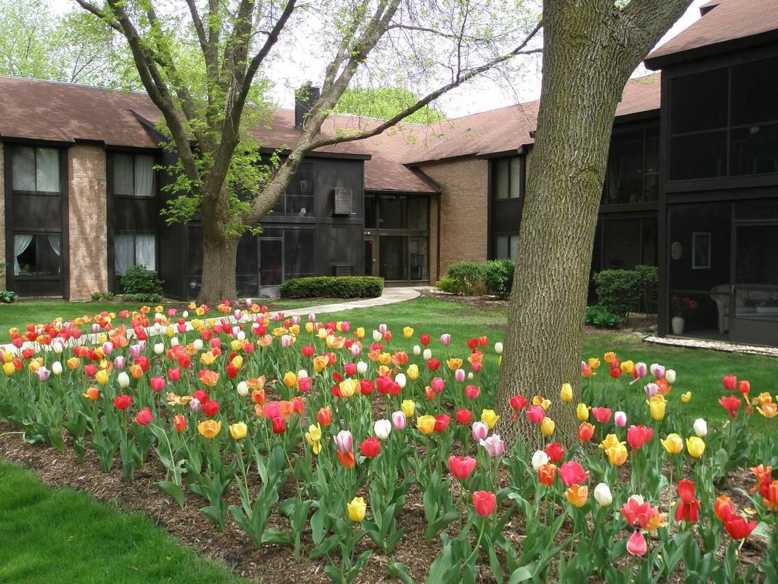 740 Saint Andrews Ln. #15, Crystal Lake, IL 60014
