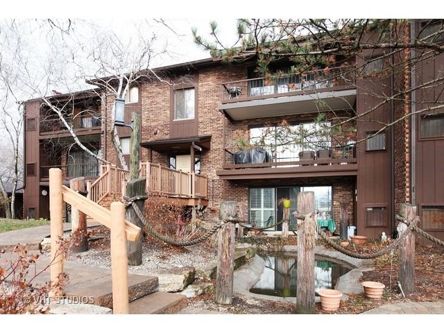 1325 Cass Lane E #301, Westmont, IL 60559