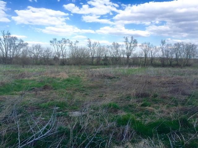 20361 E 2600 North Rd., Odell, IL 60460