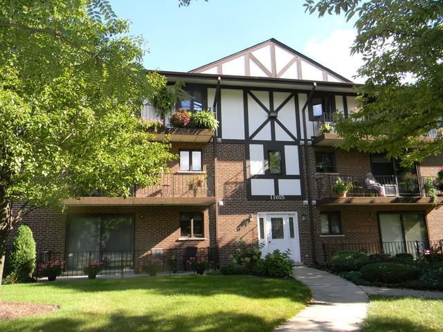 11015 S Theresa Cir. #2D, Palos Hills, IL 60465