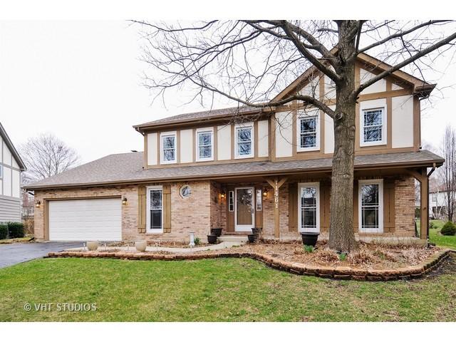1461 Rill Ct., Naperville, IL 60565
