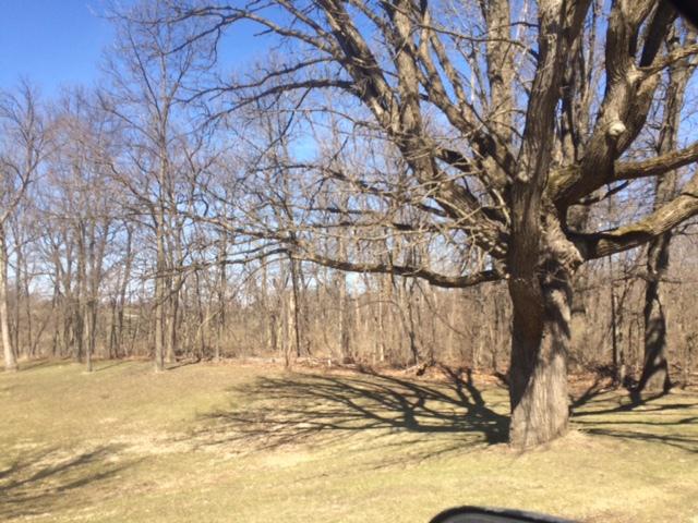 1002 N Railroad St., Seatonville, IL 61359
