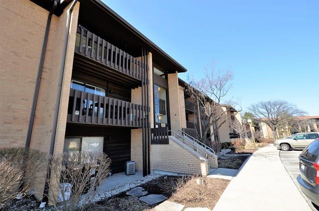 6110 Knoll Valley Dr. #204, Willowbrook, IL 60527