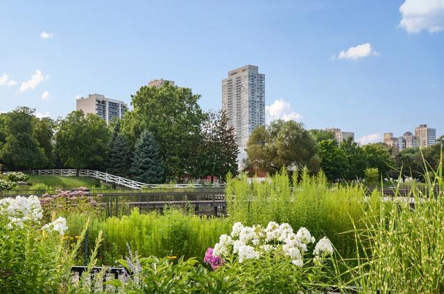 2020 N Lincoln Park West #11H, Chicago, IL 60614
