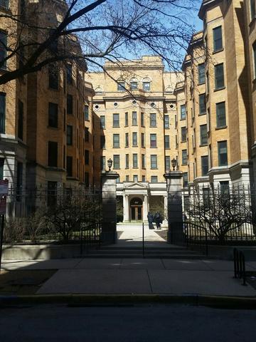 550 W Surf St. #213, Chicago, IL 60657